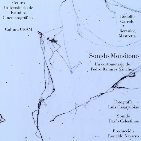 Sonido monótono