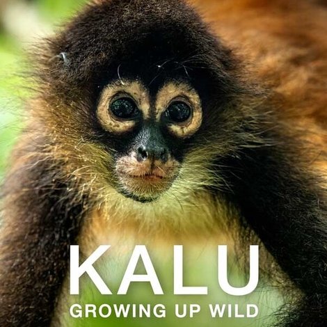 Kalu: Creciendo Salvaje