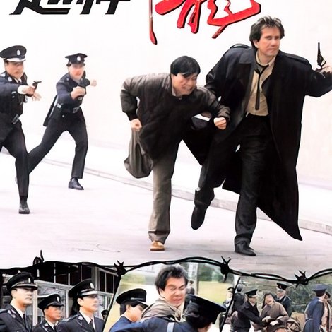 越柙飛龍