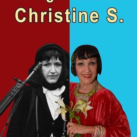Les guerres de Christine S.