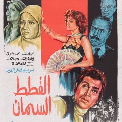 القطط السمان