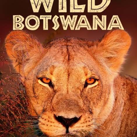 Wild Botswana