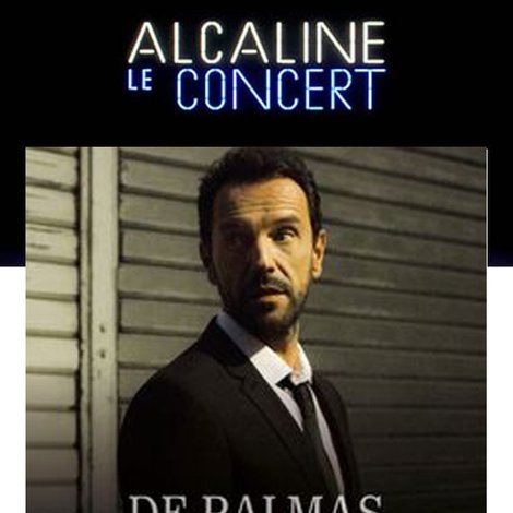 Gérald de Palmas - Alcaline le Concert