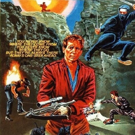 Ninja Warriors