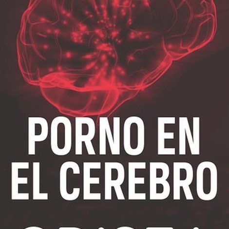 Porn On The Brain