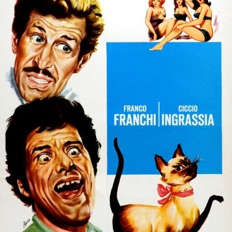 Il lungo, il corto, il gatto