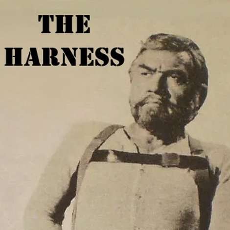 The Harness