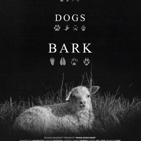 When Dogs Bark