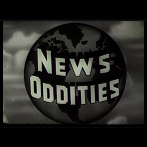 News Oddities