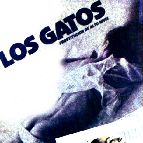 Los gatos (Prostitución de alto nivel)