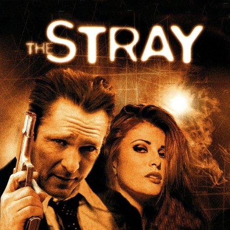 The Stray