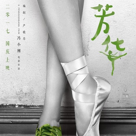 芳华纪录片:我把芳华献给你