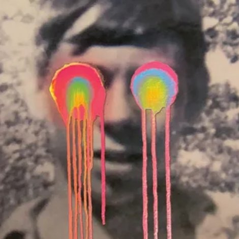 The Flaming Lips: American Head