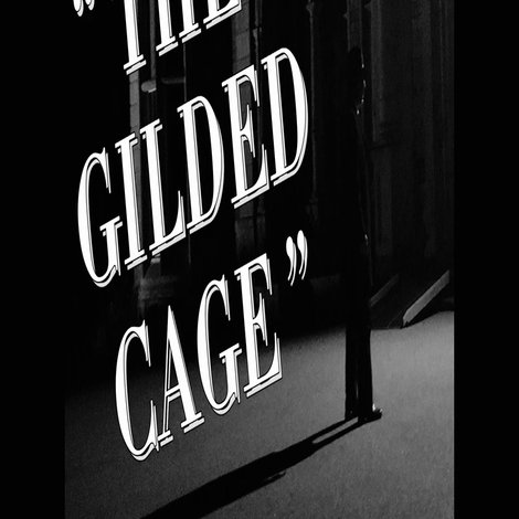 The Gilded Cage