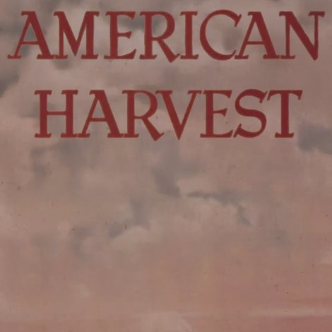 American Harvest