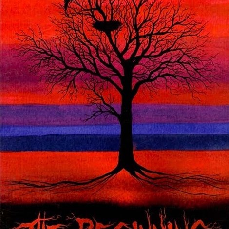 The Beginning