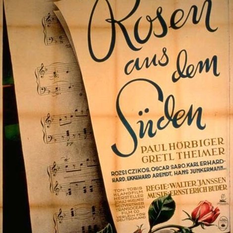 Rosen aus dem Süden