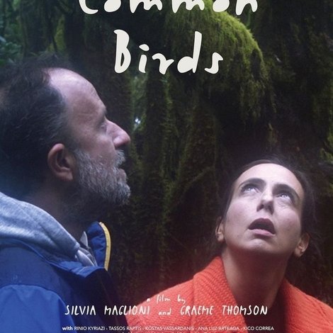 Common Birds