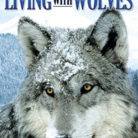 Living with Wolves