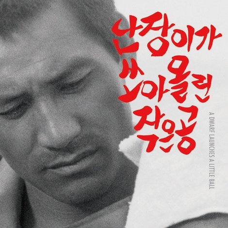 난장이가 쏘아올린 작은 공