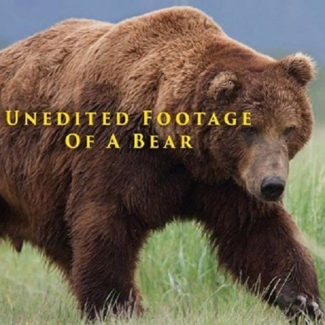 Unedited Footage of a Bear
