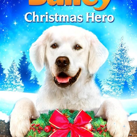 Adventures of Bailey: Christmas Hero