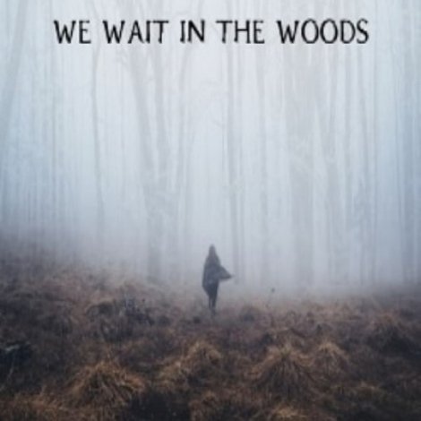 We Wait in the Woods