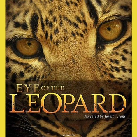 Eye of the Leopard