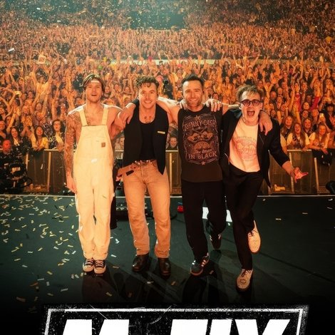 McFly: The 21st Birthday Party