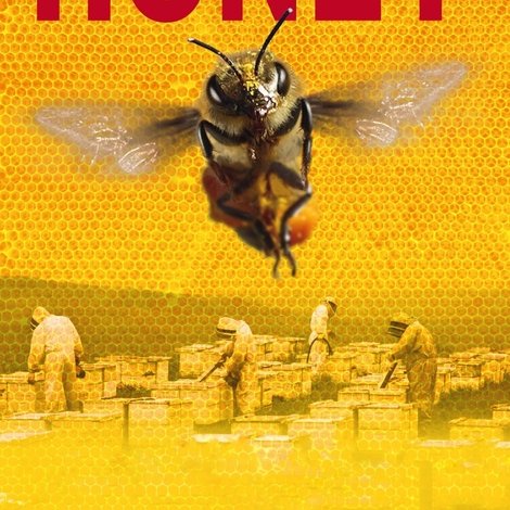 More Than Honey