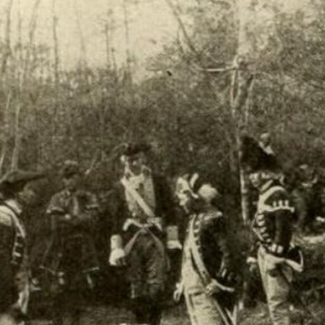 The Swamp Fox