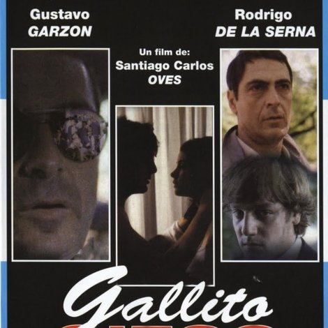 Gallito ciego