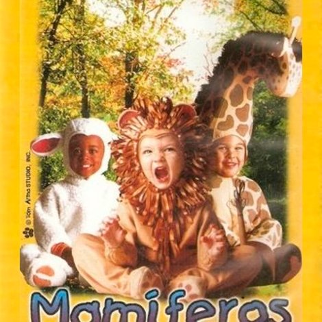 A Floresta Feliz