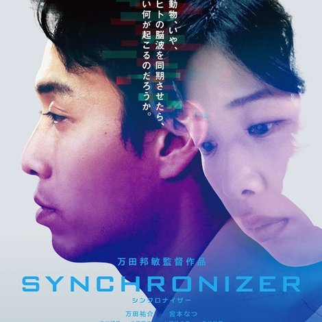 Synchronizer