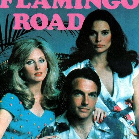 Flamingo Road