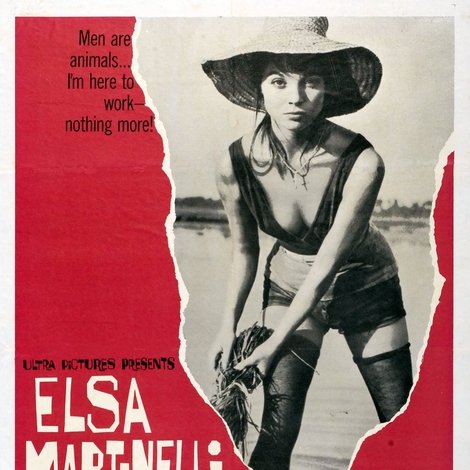 La risaia