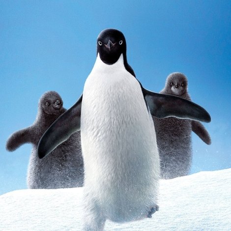 Penguins