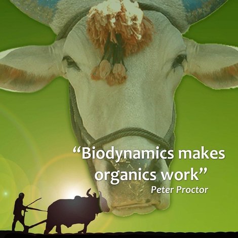 One Man, One Cow, One Planet