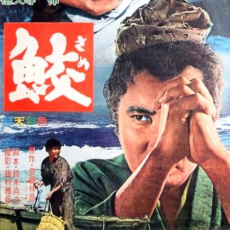 鮫