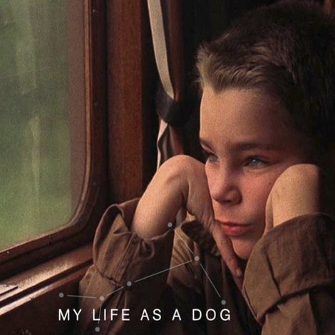 Mitt liv som hund