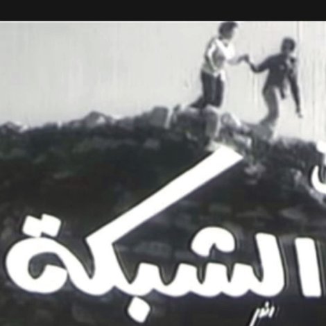 الشبكة