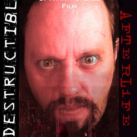 Indestructible: Afterlife