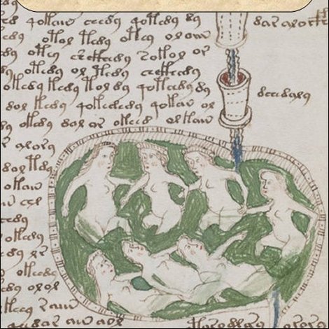 The Voynich Mystery