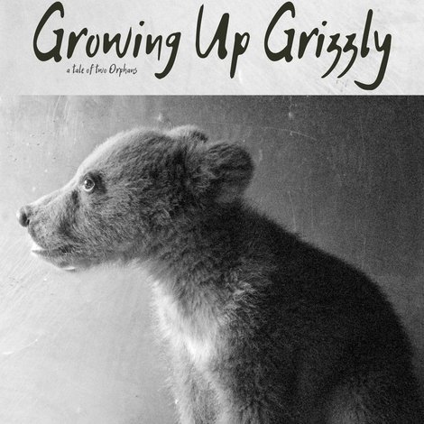 Growing Up Grizzly: A Tale of Two Orphans