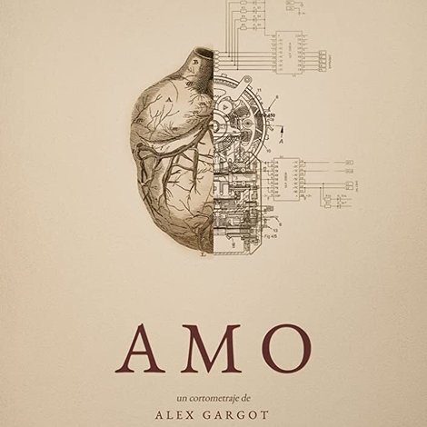 Amo