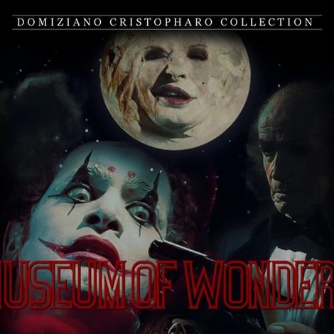 The Museum Of Wonders