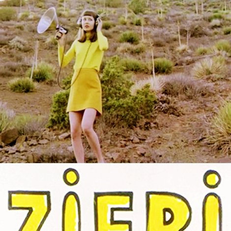 Zieri Cosmos