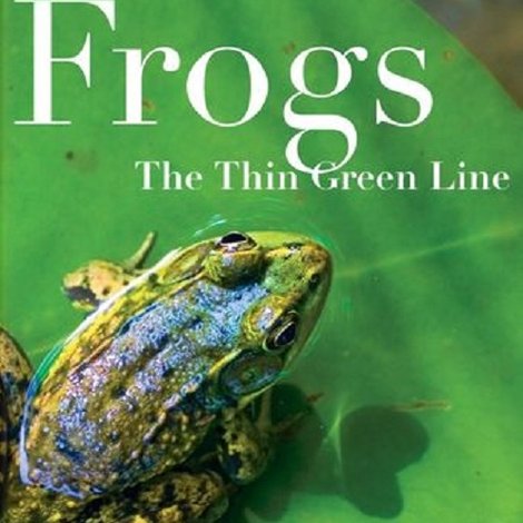 Frogs: The Thin Green Line