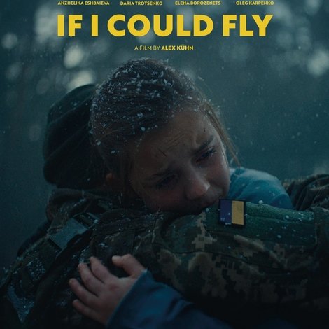 If I Could Fly