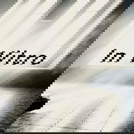 In Vitro